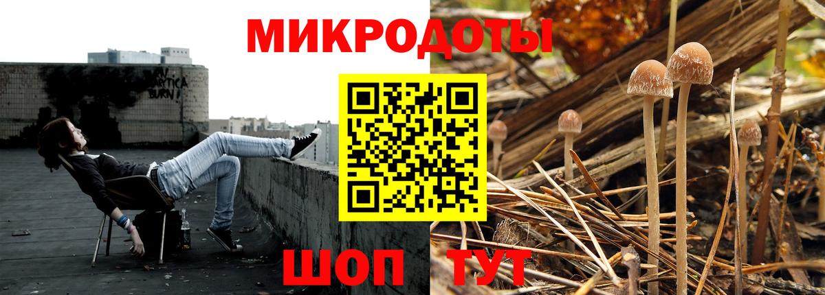 Галлюциногенные грибы MAGIC MUSHROOMS Тверь